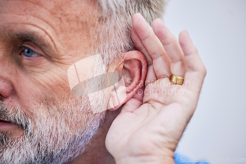 Image of Senior man, listening and hand on ear or curious guy with gesture to hear gossip, conversation or announcement. Hearing, loss and old person with a disability or deaf male with hands to listen