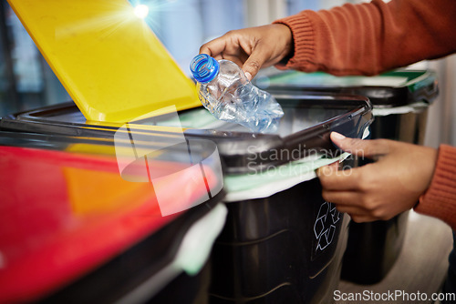 Image of Plastic, recycle and woman with bottle in box in living room for eco friendly, reusable and cleaning. Sustainability, pollution and hands of person with container to reduce waste, litter and garbage