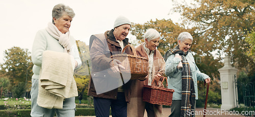 Image of Walking, picnic and senior friends in the park together for bonding or conversation during retirement. Smile, basket and a group of happy elderly people in a garden for freedom, fresh air to relax