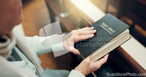 Image of Reading, bible or hands of woman in church ready to worship God, holy spirit or religion in Christian cathedral. Faith, spiritual lady or person reading book in chapel praying to praise Jesus Christ