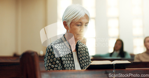 Image of Worship, reading book or old woman in church for God, holy spirit or religion in cathedral or Christian community. Faith, bible or elderly person praying in chapel studying to praise Jesus Christ