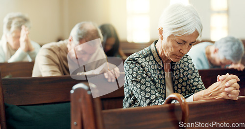 Image of Gospel, prayer or old woman in church for God, holy spirit or catholic religion in cathedral or Christian community. Faith worship, bow or elderly person in chapel or sanctuary to praise Jesus Christ