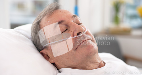 Image of Oxygen, hospital bed and senior man sleeping with ventilation and breathing tube support in a clinic. Elderly patient, medical care and emergency room with male person at a doctor for healthcare