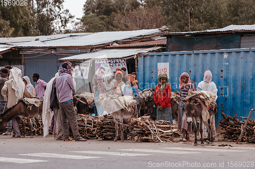 Image of Ethiopian people selling firewood, Ethiopia Africa