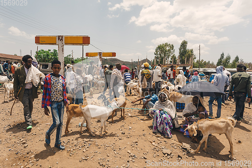 Image of Ethiopian people on animal market, Ethiopia Africa