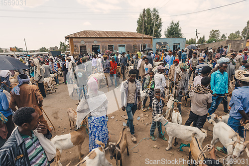 Image of Ethiopian people on animal market, Ethiopia Africa