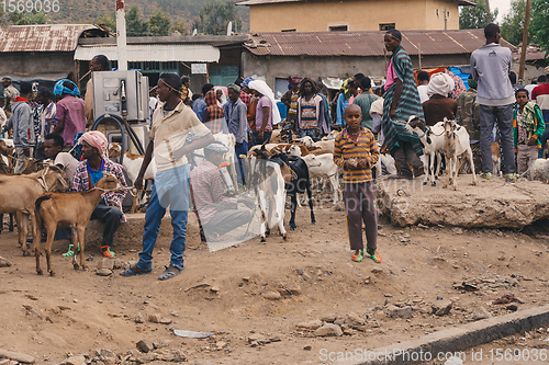 Image of Ethiopian people on animal market, Ethiopia Africa