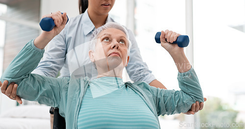 Image of Woman with disability, physiotherapy and dumbbell exercise of healthcare rehabilitation, consulting or physical therapy assessment. Clinic, physiotherapist and support of senior patient in wheelchair