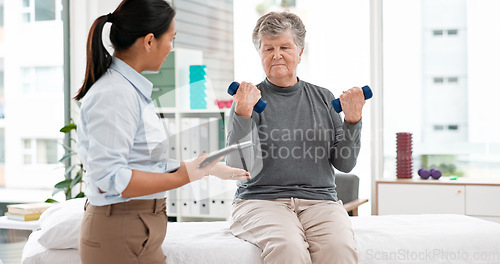 Image of Physical therapy, senior patient with dumbbells and chiropractor with tablet, monitor progress and exercise. Help, support and women at clinic, weightlifting and elderly care with health and physio