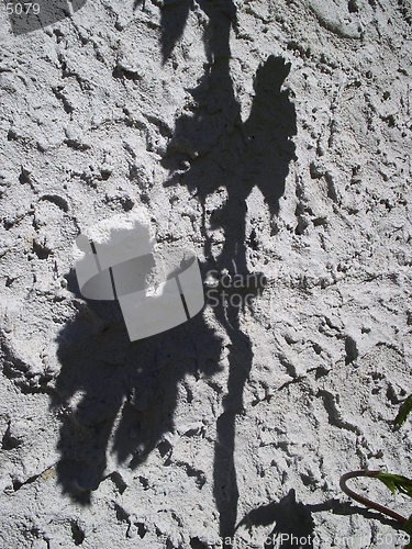 Image of Shadow