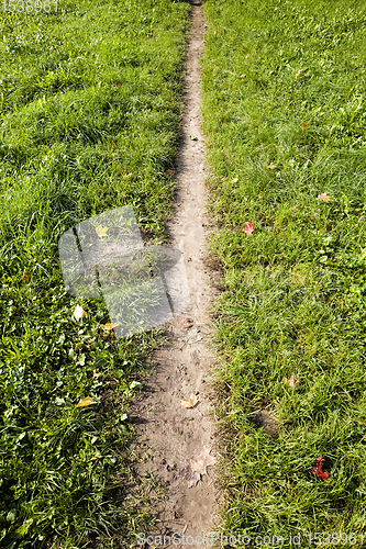 Image of footpath in the field