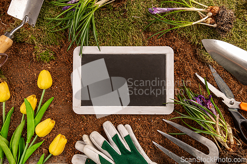 Image of Blackboard on a gardening concept background