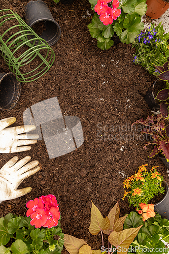 Image of Gardening frame concept