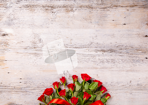 Image of Bright red garden roses