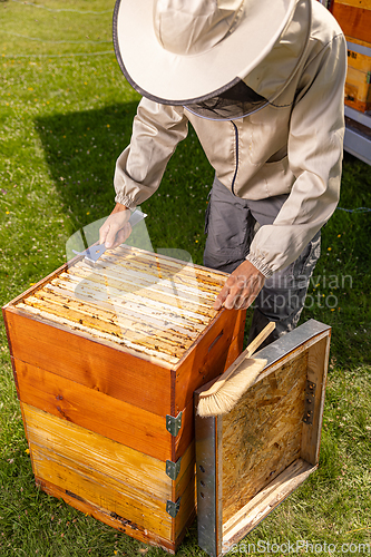 Image of Man in a bee suit inspecting a beehive.