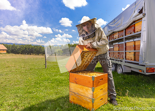 Image of Farmer wearing bee suit working with honeycomb