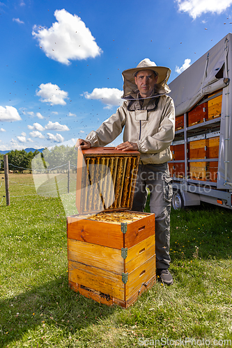 Image of Beekeeping in countryside.