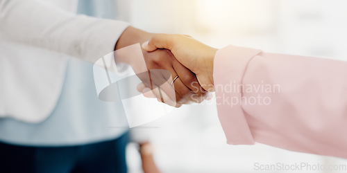 Image of Business people, handshake and partnership for b2b, meeting or trust in teamwork at the office. Colleagues shaking hands in unity, deal or agreement for greeting, welcome or introduction at workplace