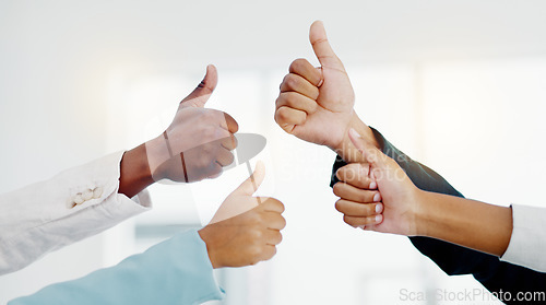 Image of Business people, hands and thumbs up in teamwork success, good job or agreement at the office. Hand of group showing thumb emoji, yes sign or like gesture together in unity, trust or collaboration
