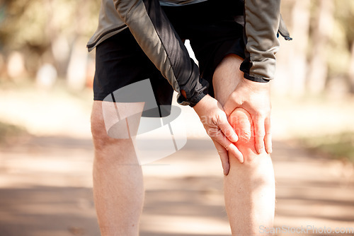 Image of Runner, hands and knee pain in park, injury or outdoor for fitness, training or muscle emergency. Person, legs accident and exercise for osteoporosis, red overlay or arthritis in nature for workout