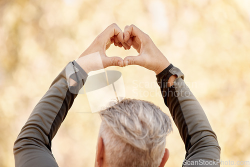 Image of Nature, heart shape and back of man in a park for race, marathon or competition run training. Fitness, sports and closeup of an elderly male athlete with a love hand gesture in an outdoor garden.