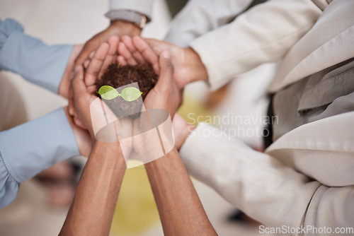 Image of Plant, soil and hands of business team with sustainability, growth or development. Above group of people for earth day, agriculture and eco friendly investment or support and trust with collaboration