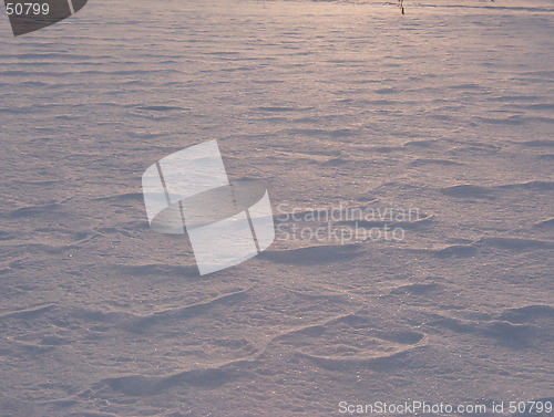 Image of Snow waves