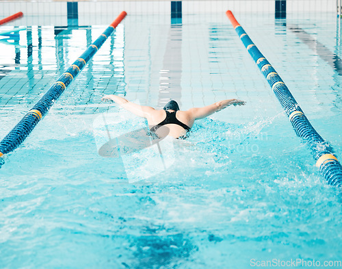 Image of Sports, swimming pool and woman athlete training for a race, competition or tournament. Fitness, workout and back of female swimmer practicing a cardio water skill for exercise, speed or endurance.