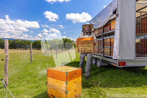 Image of Beekeeper carrying honeycomb crate at apiary