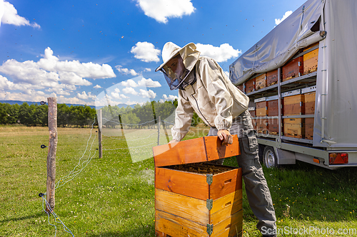 Image of Man in a protective suit inspecting a beehive