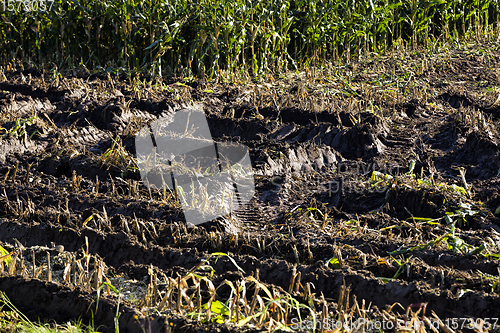 Image of dirt and ruts from harvesters