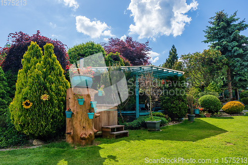 Image of Beautiful pergola in summer garden