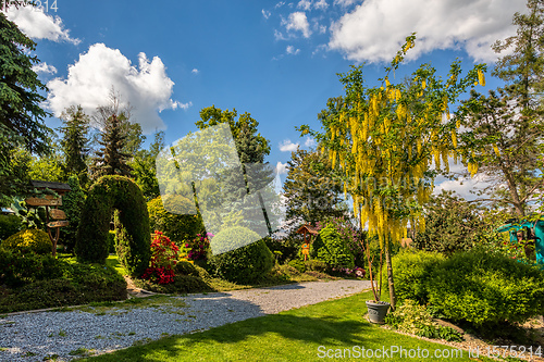 Image of Beautiful summer garden concept