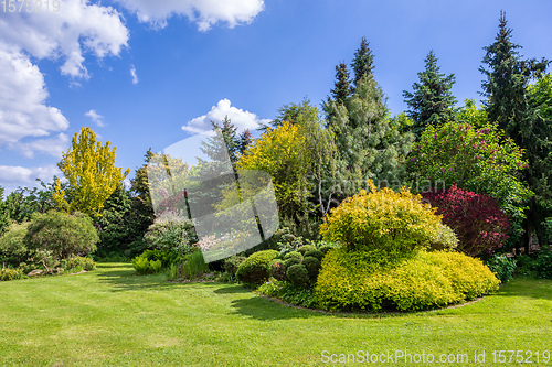 Image of Beautiful summer garden concept