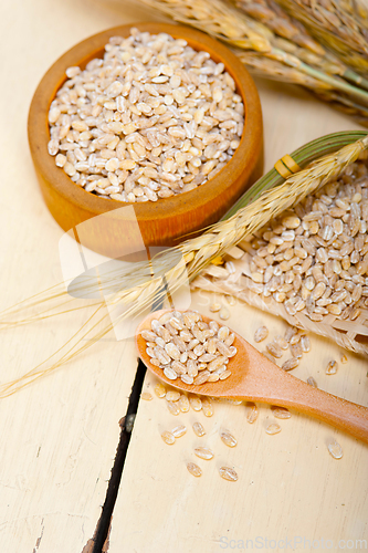 Image of organic barley grains