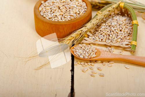 Image of organic wheat grains