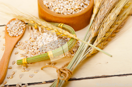 Image of organic wheat grains