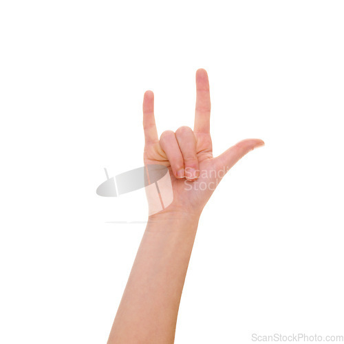 Image of Rock, sign language and hand of a person with a sign isolated on a white background in studio. Hand gesture, fingers and person talking with hands, confidence and showing on a studio background