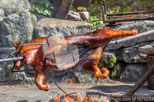 Image of Piglet on the spit, open fire grill in outdoor