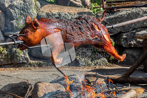 Image of Piglet on the spit, open fire grill in outdoor