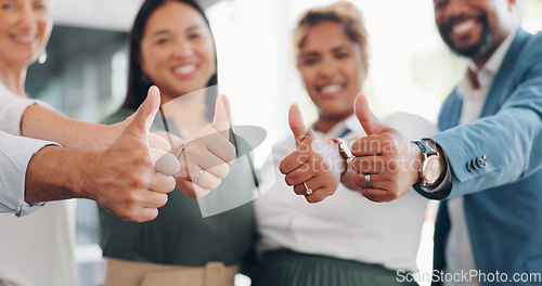 Image of Business people, hands or thumbs up in office success of marketing ideas, branding innovation target or advertising achievement goals. Zoom, men or women and yes gesture in creative designer company