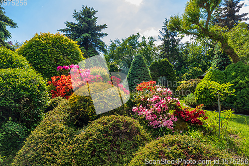 Image of Beautiful summer garden concept