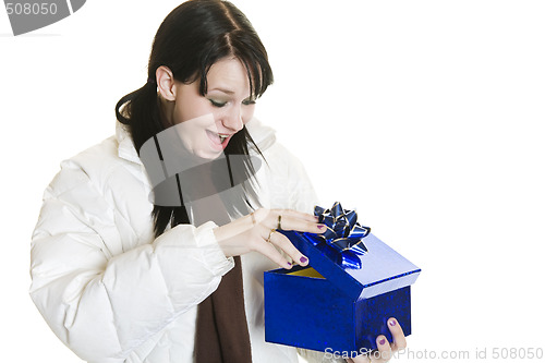 Image of Surprise Christmas Gift