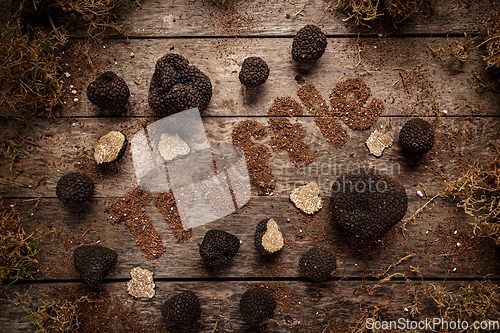 Image of Expensive rare black truffle mushroom