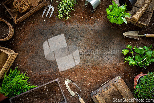 Image of Gardening tools and herbs