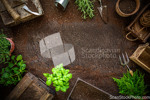 Image of Spring in the hobby garden