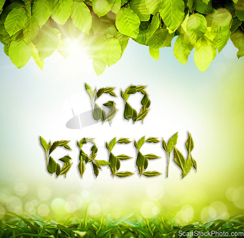 Image of Lens flare, go green and leaves for sustainability, eco friendly and gradient background. Plants, plants and poster for earth day, environment and awareness for conservation, nature and natural care