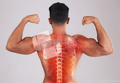 Image of Man, x ray spine and studio with pain, back or bodybuilder for muscle, bicep arms or development by background. Young model, fitness or chiropractic overlay for pain, injury or strong core for body