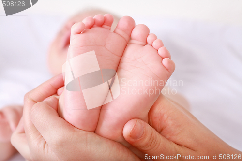 Image of Newborn