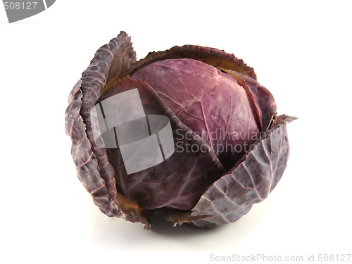 Image of cabbage